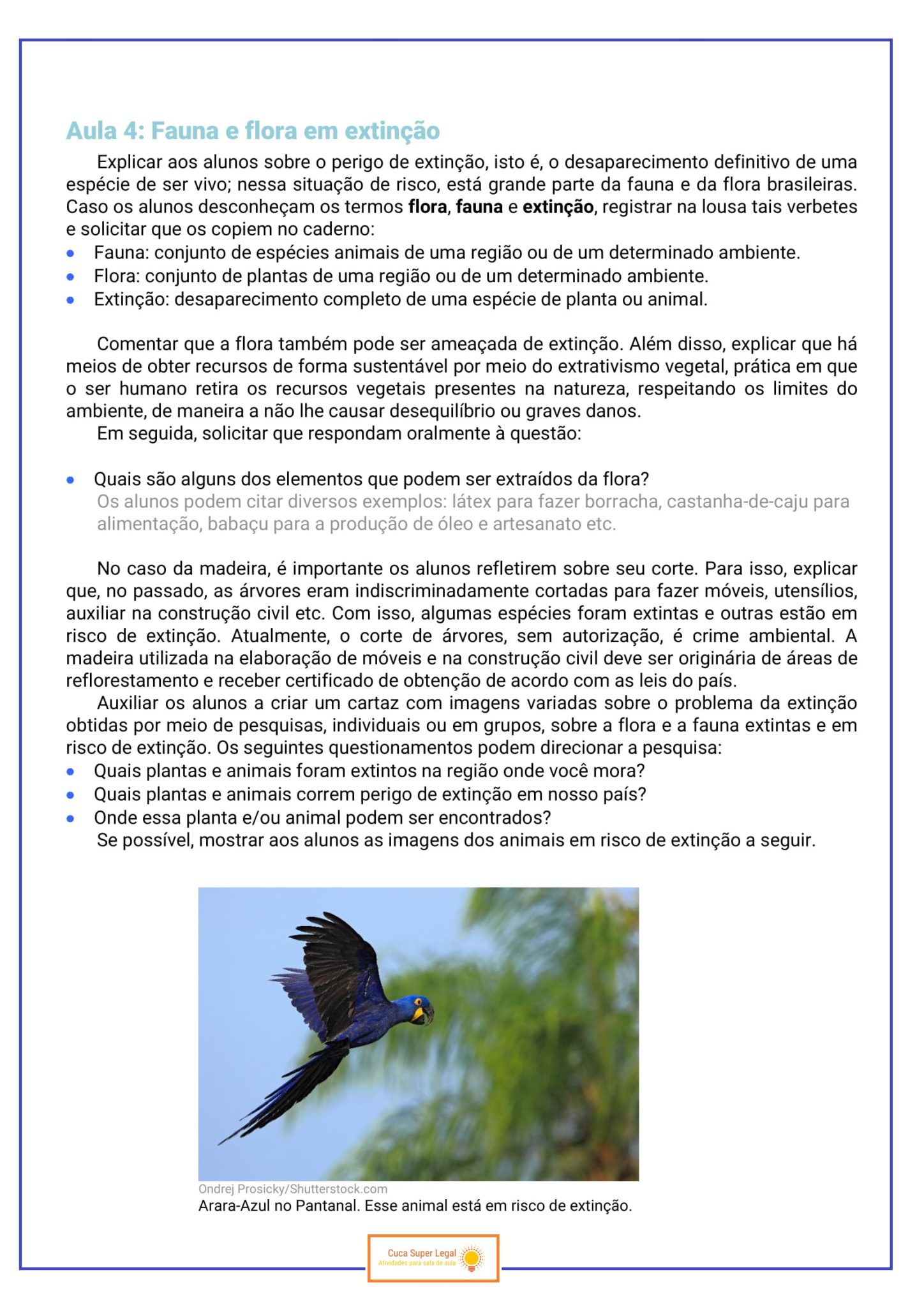 Ar Aprender E Relacionar Projetos Integradores 3 Ano