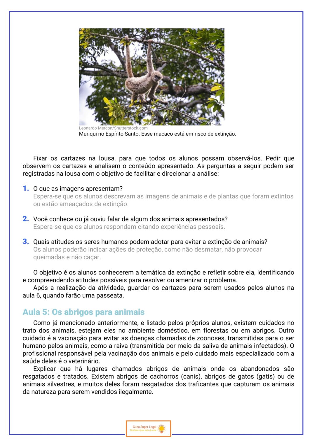 Ar Aprender E Relacionar Projetos Integradores 3 Ano