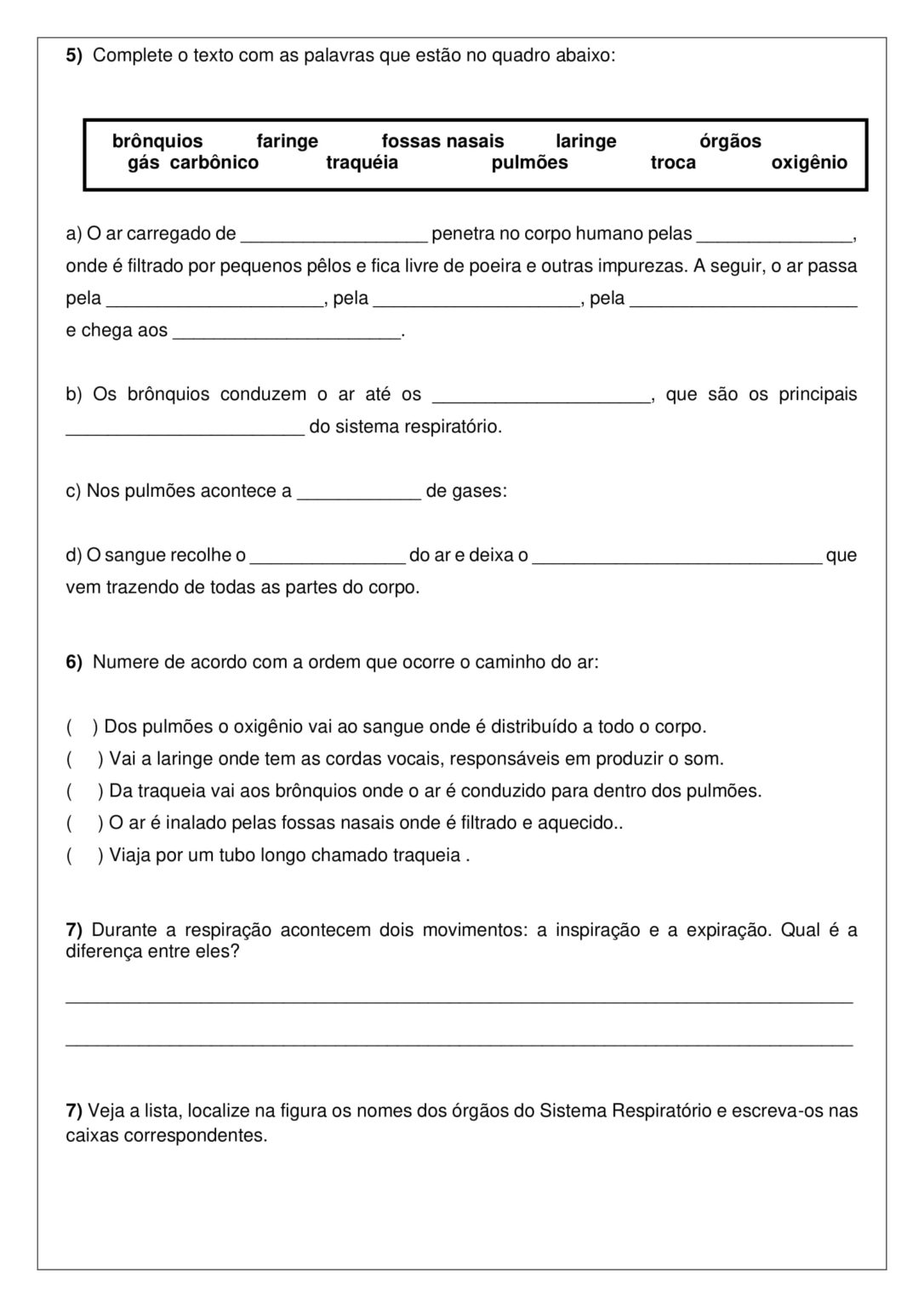 5º ANO - AULA ONLINE DE CIÊNCIAS - SISTEMA RESPIRATÓRIO - Cuca Super ...