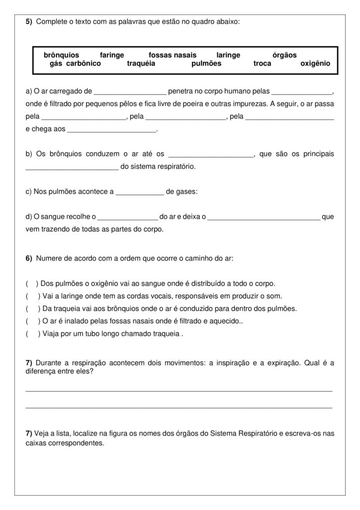 5º ANO - AULA ONLINE DE CIÊNCIAS - SISTEMA RESPIRATÓRIO - Cuca Super ...