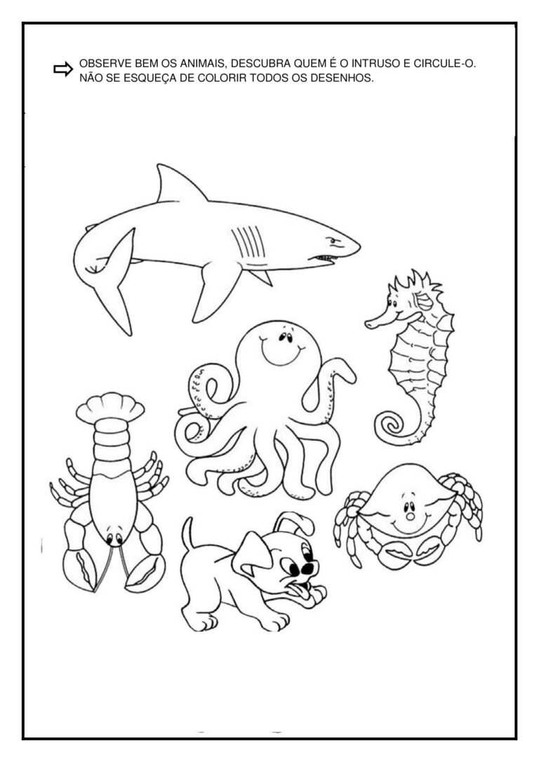 PLANO DE AULA DA EDUCAÇÃO INFANTIL - Temática da aula: Animais ...