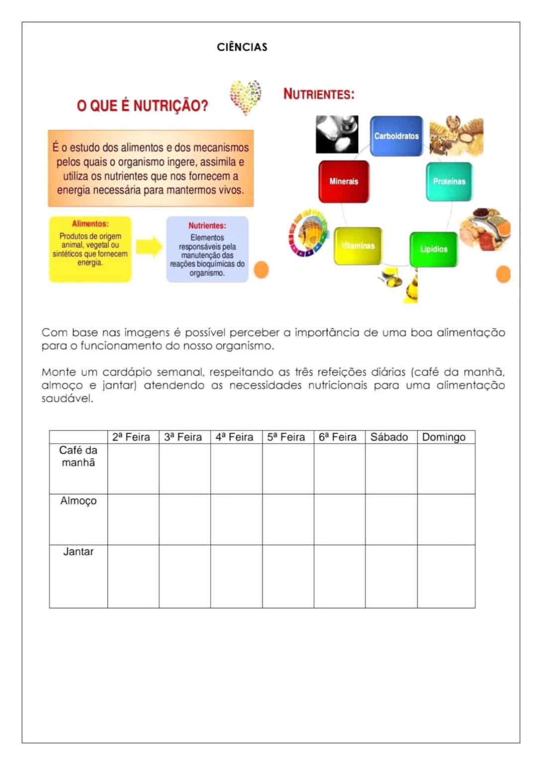 5º ANO - Ciências - Atividades sobre alimentação saudável / nutrição ...