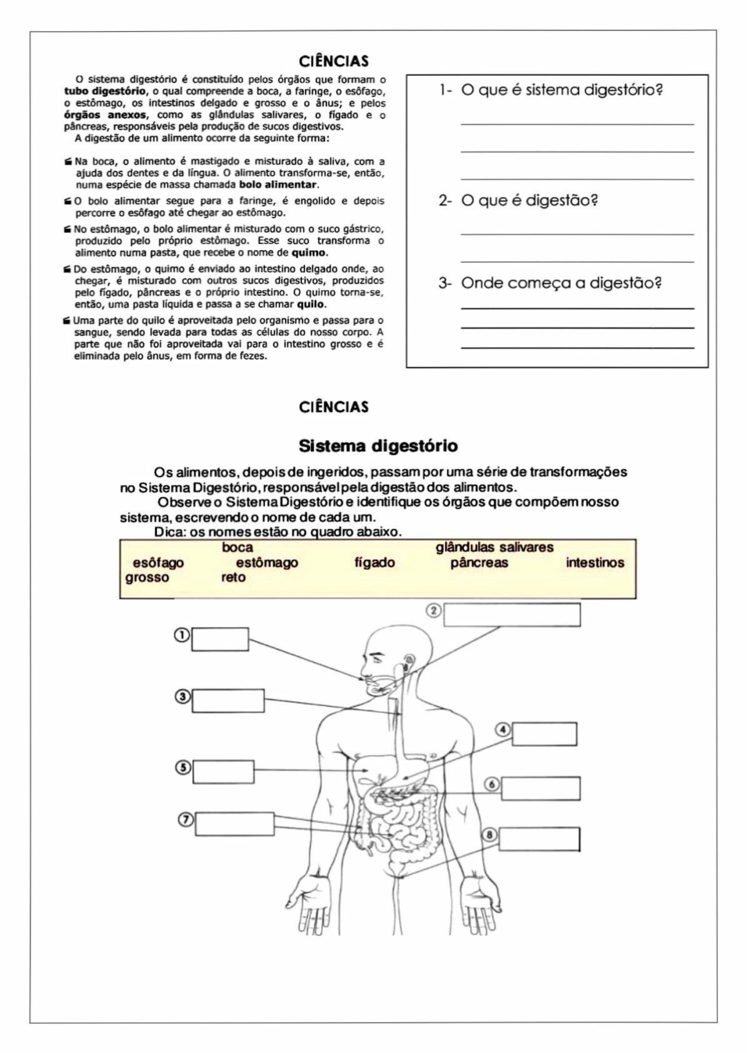 5º ANO - ATIVIDADES PARA AULAS DE CIÊNCIAS - Cuca Super legal ...