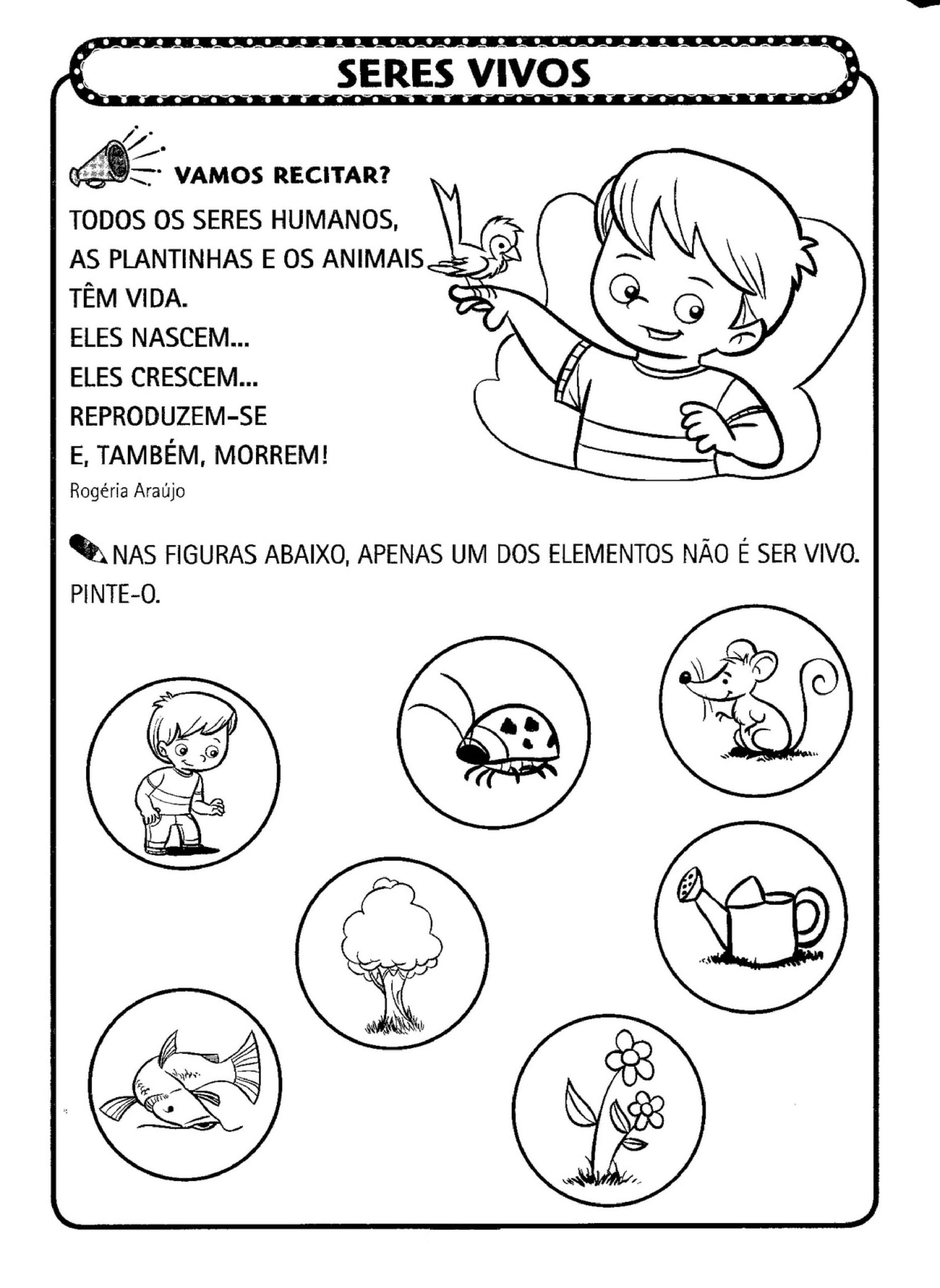 1° ano - ATIVIDADES DE CIÊNCIAS - Seres vivos e não vivos - Cuca Super ...