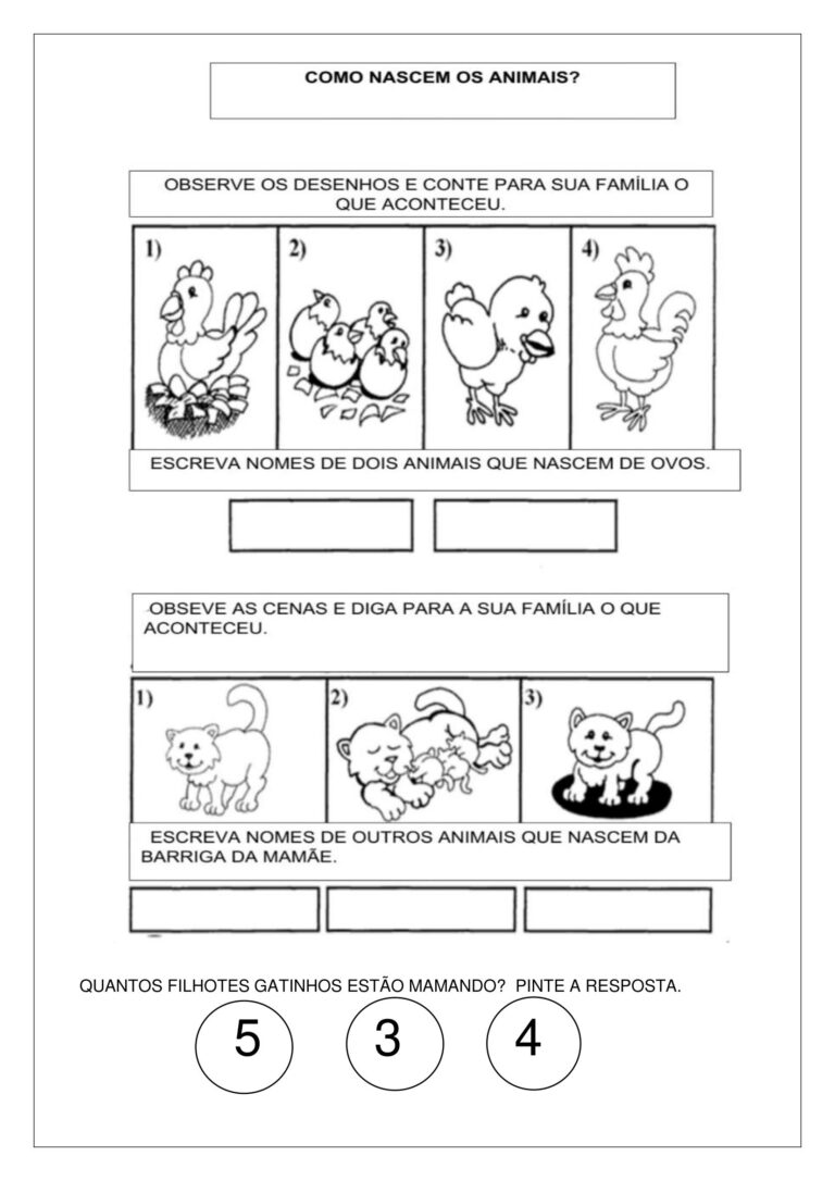 1º ano - Atividades de ciências - O tempo passa - fases da vida - Cuca ...